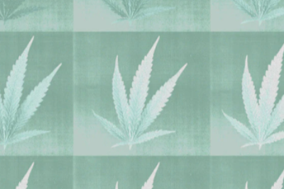 Cannabis: How Long is it in Your System?