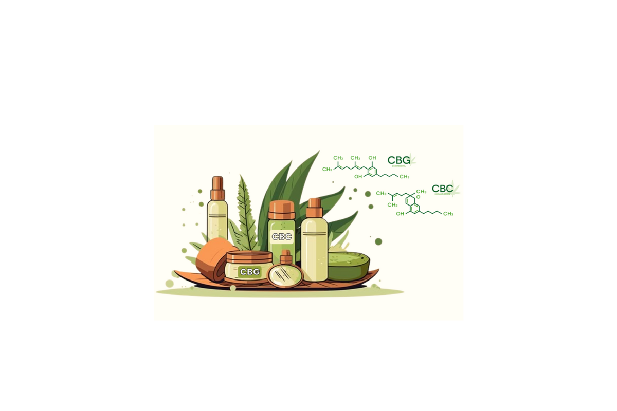 A WHOLE NEW WORLD: AN INTRODUCTION TO CBG AND CBC