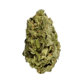Close-up of a green cannabis bud on a white background