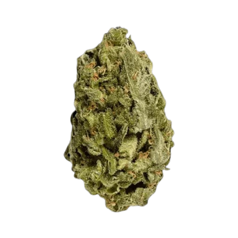 Close-up of a green cannabis bud on a white background