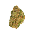 Close-up of a cannabis bud on a white background