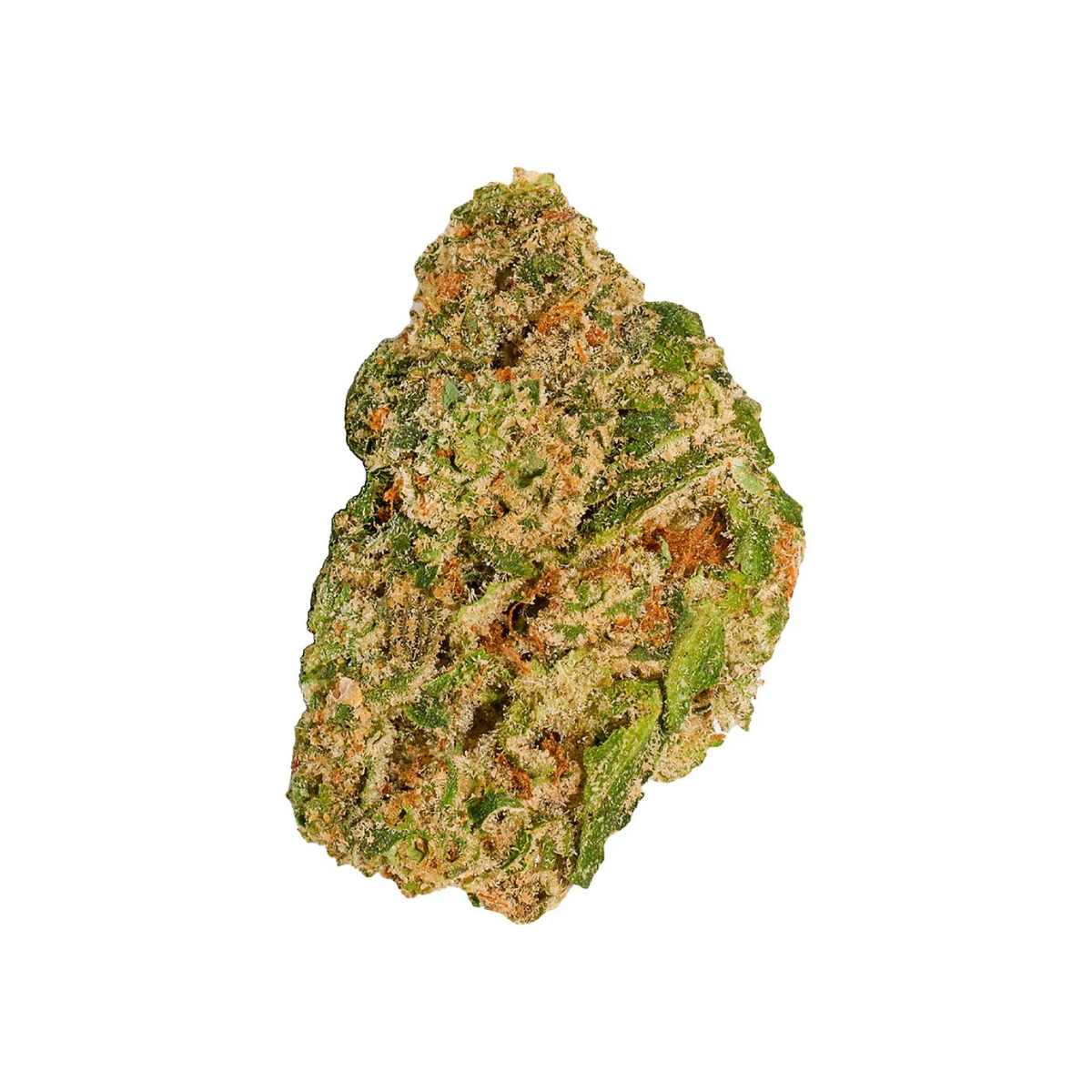 Close-up of a cannabis bud on a white background