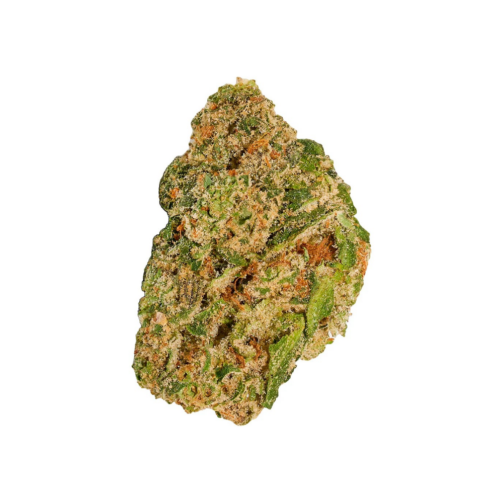 Close-up of a cannabis bud on a white background