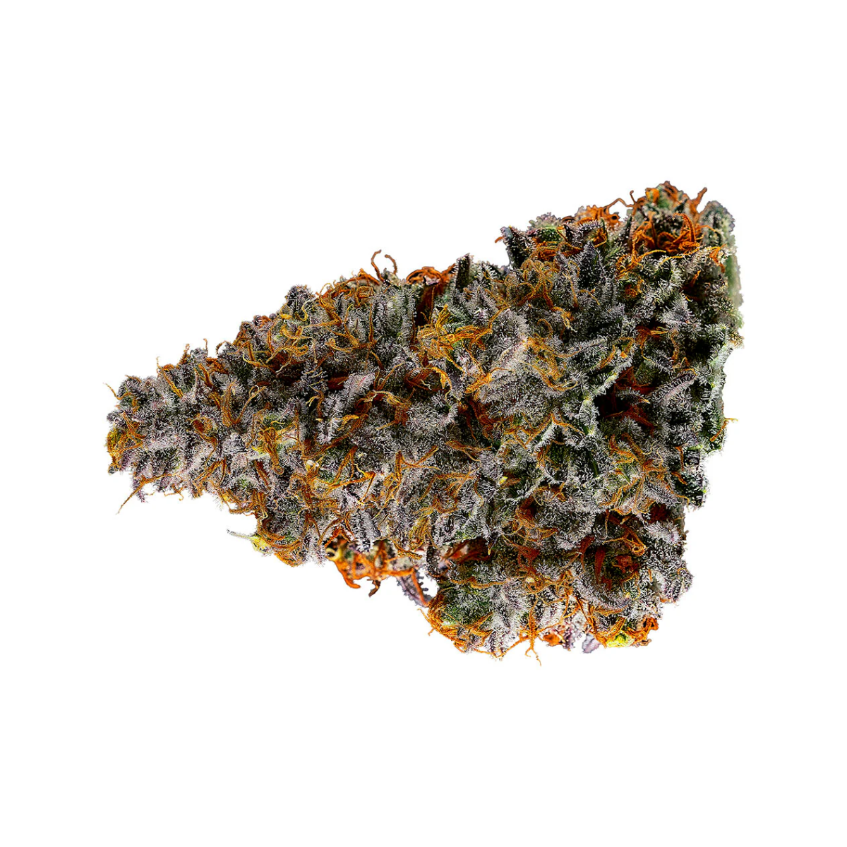 An image of a cannabis flower.
