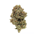 Staycation Dreamline Flower 3.5g