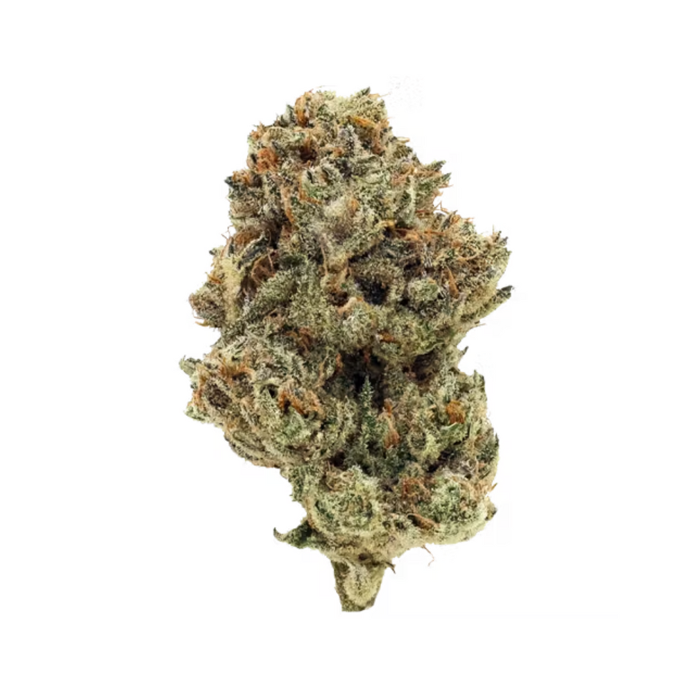 Staycation Dreamline Flower 3.5g