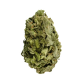 Staycation Cloudkicker Flower 28g