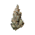 Tribal Triple Burger Flower 3.5g