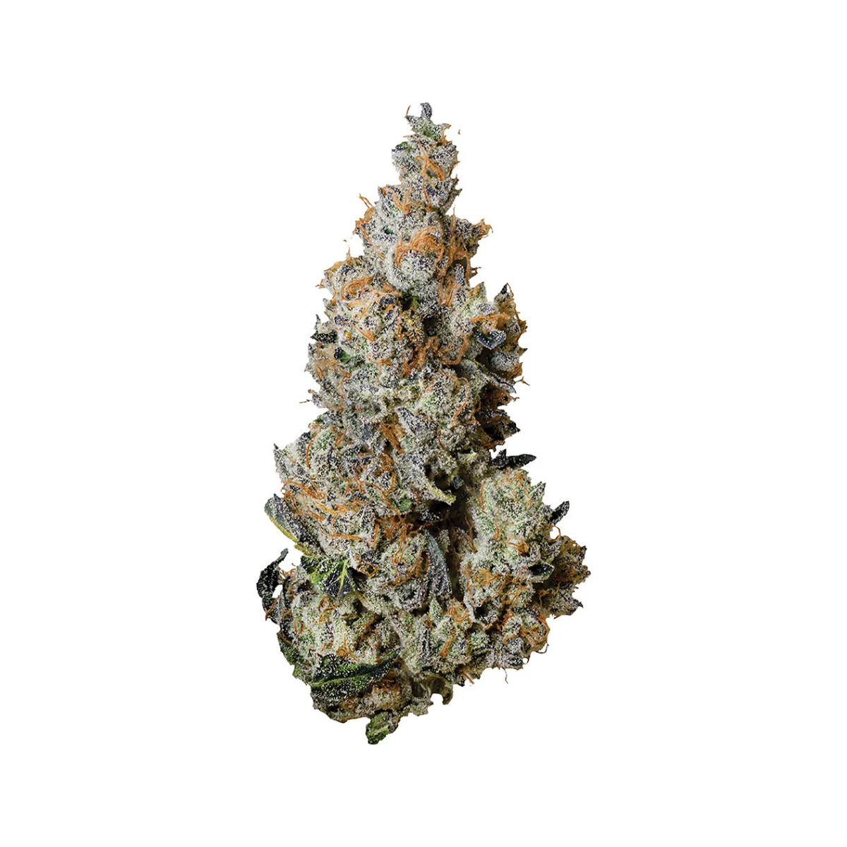 Tribal Triple Burger Flower 3.5g