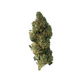 A close up of a long green and orange cannabis bud