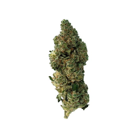 A close up of a long green and orange cannabis bud