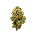 Seeker Za Za Plaza Flower 7g