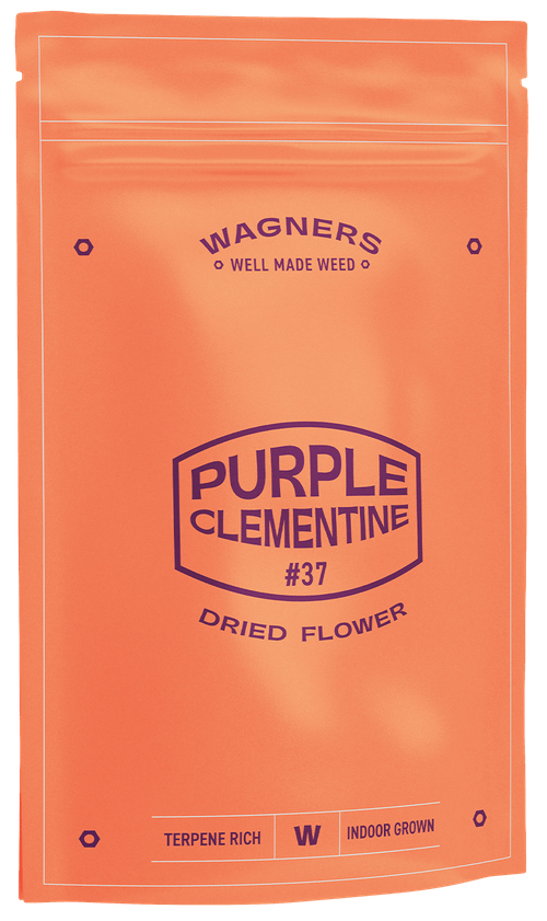 TSK WAGNERS Purple Clementine Flower