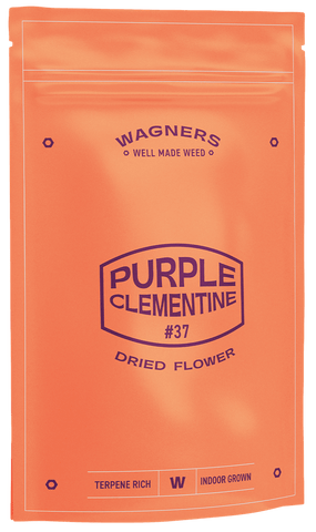 TSK WAGNERS Purple Clementine Flower